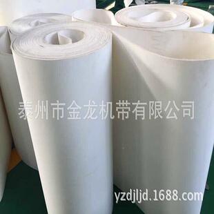 金龙专业定 制食 品输家送带 食品送带 传厂生产同S-03步带传输