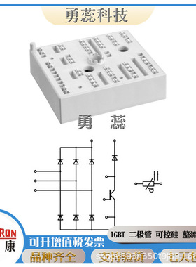 晶闸管     SKN6000/04      SKN6000/06