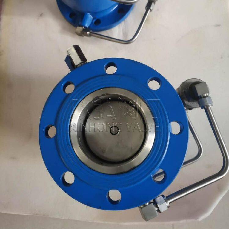 LHS743X低阻力倒流防止器 缓闭 排放 球墨铸铁 液控 欣弘阀门