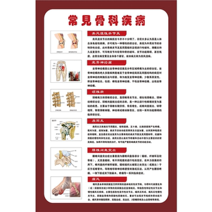骨科常见疾病图谱医学海报挂图人体骨骼结构展板写真解剖海报