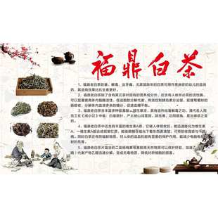 福鼎老白茶海报展板福鼎白茶的功效福鼎白茶太姥山白茶墙贴墙纸