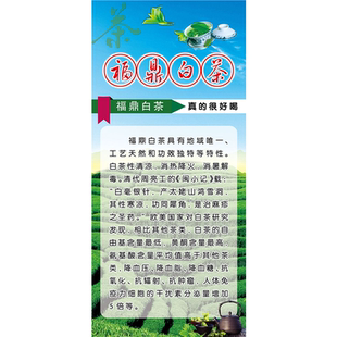 茶室茶叶店茶楼茶馆茶餐厅福鼎白茶壁画中式茶文化墙贴海报