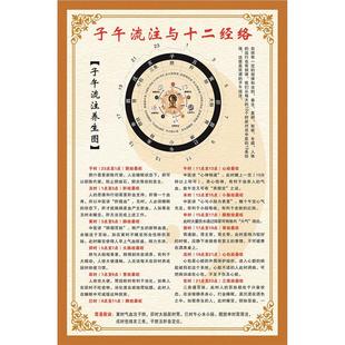 子午流注与十二经络养生图海报美容院养生馆装饰画广告贴画贴纸