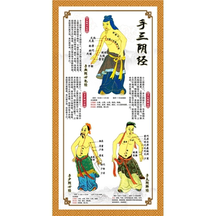 中医十二穴位图人体经络穴位图按摩大挂图解全身经脉筋络手三阴经