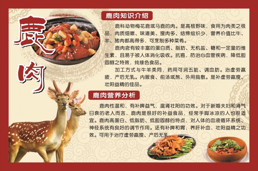鹿肉海报展板滋补鹿肉锅曾经帝王餐上宴如今走进百姓家墙贴墙纸