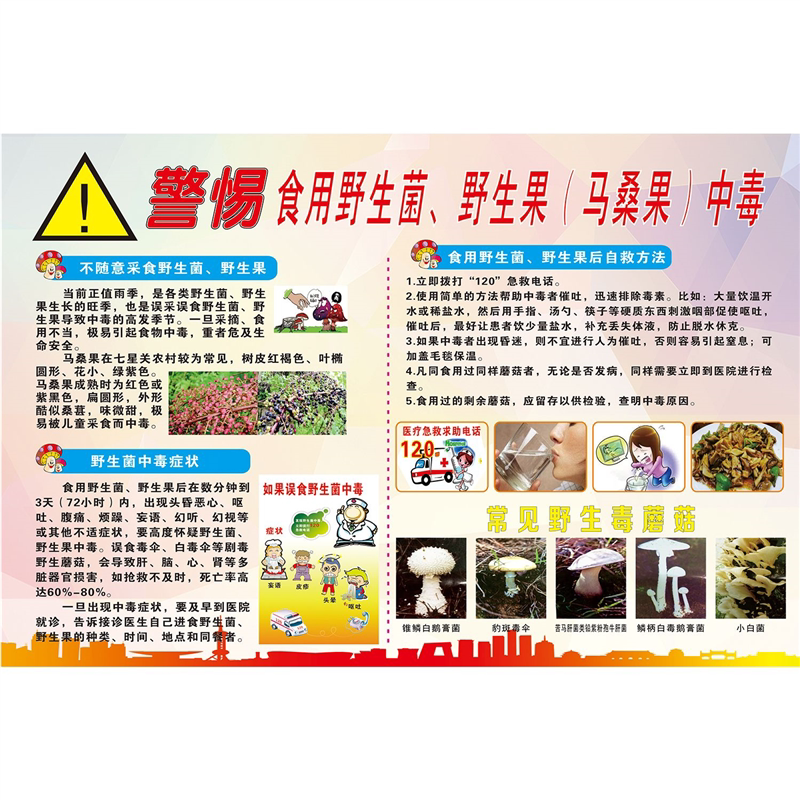 警惕食用野生菌野生果马桑果中毒海报展板墙贴墙纸装饰画KT板