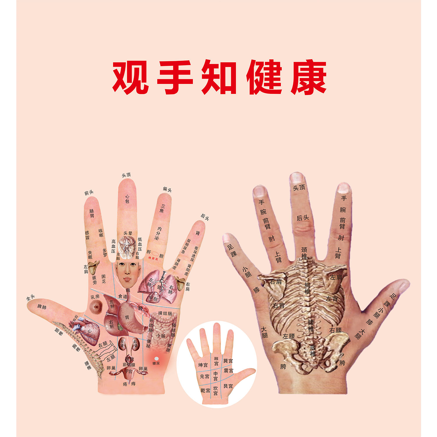 手部学位图海报贴纸医院诊所海报墙贴纸观手知健康海报挂画自粘