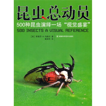 正版昆虫总动员--500种昆虫演绎一场“视觉盛宴”