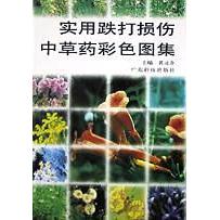 正版实用跌打损伤草彩色图集