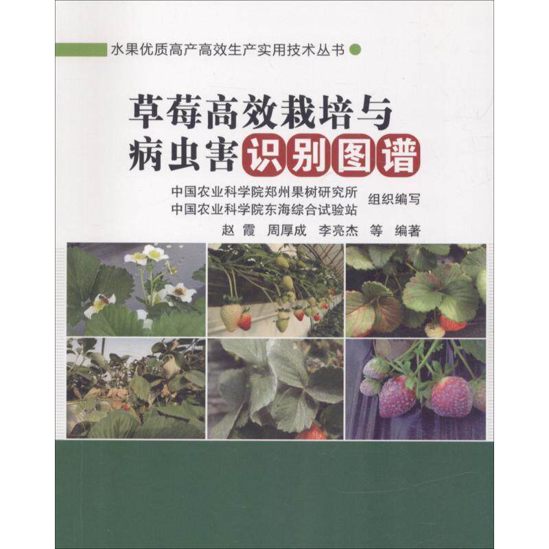 正版草莓栽培与病虫害识别图谱