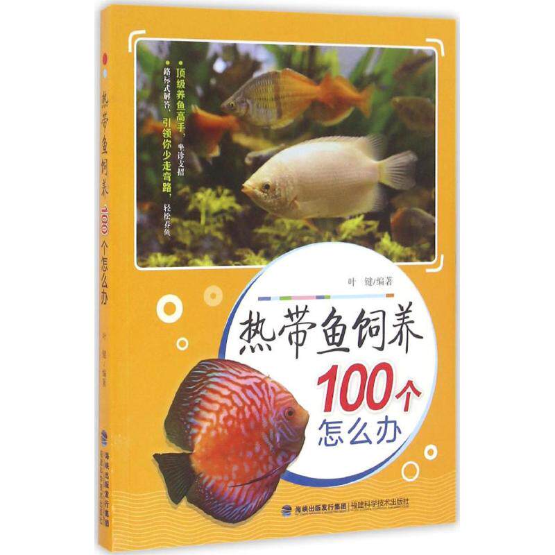 正版热带鱼饲养100个怎么办