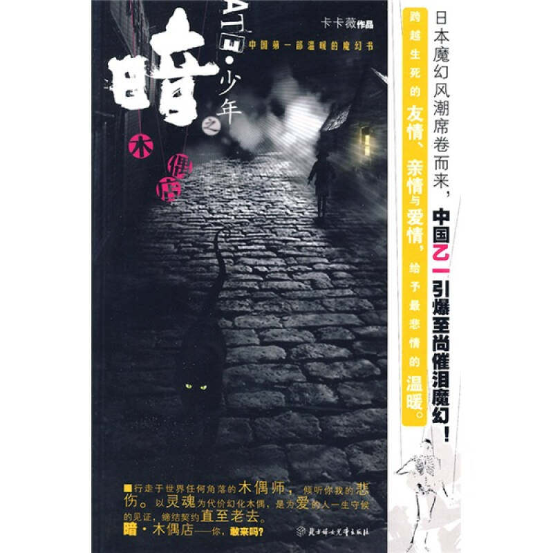 正版暗·少年之木偶店(本土部日本风格的催泪魔幻小说)