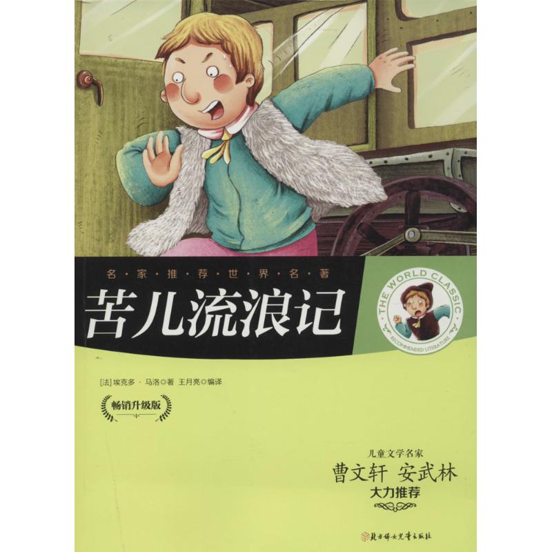 正版苦儿流浪记