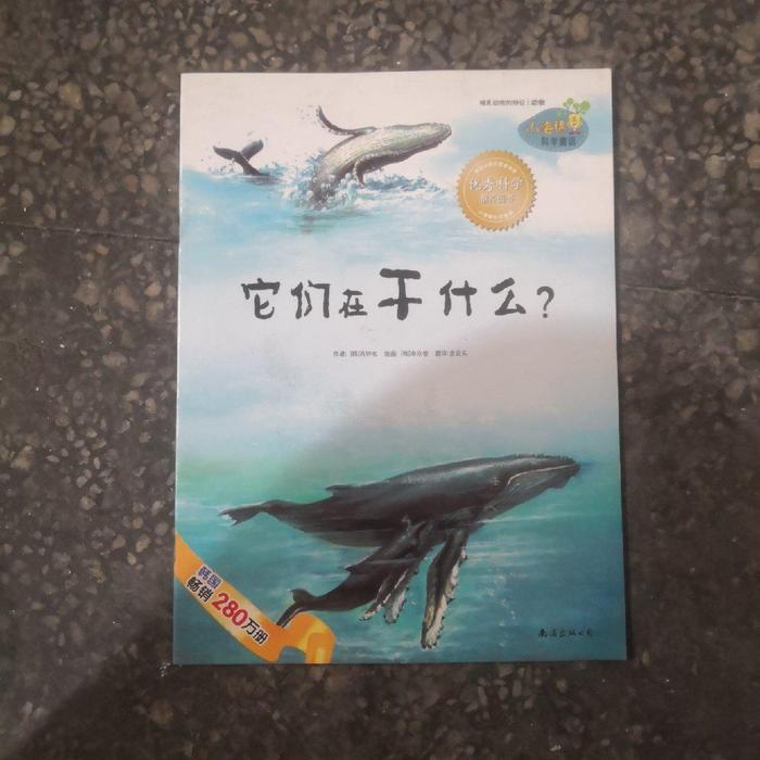 正版它们在干什么?-小海绵科学童话