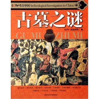 正版古墓之谜
