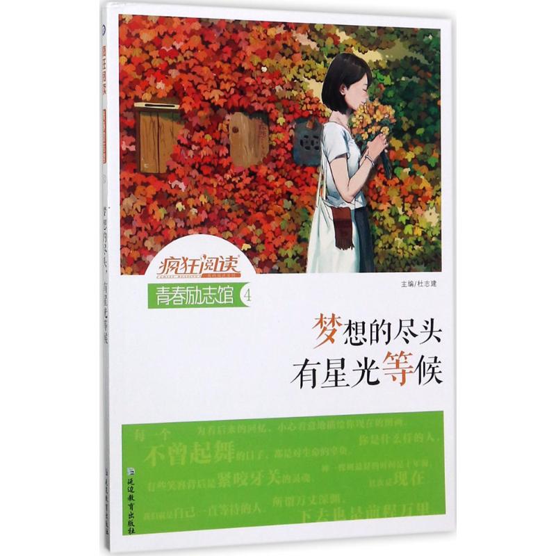 正版疯狂阅读青春励志馆4·梦想的尽头,有星光等候