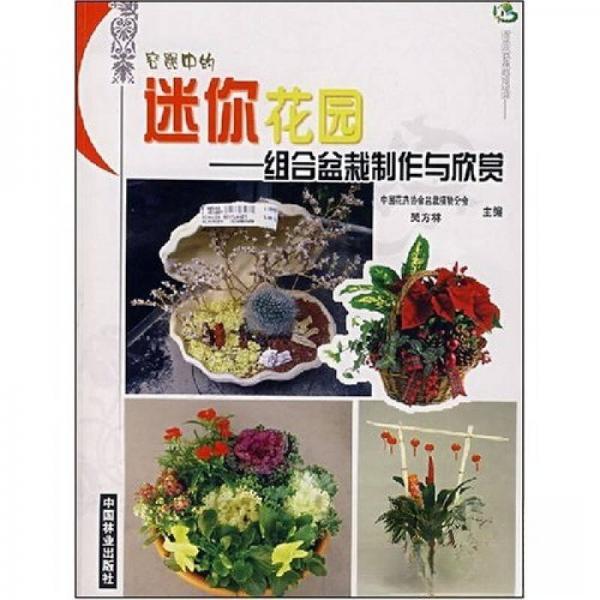 正版容器中的迷你花园-组合盆栽制作与欣赏