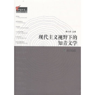 现代主义视野下的知青文学正版