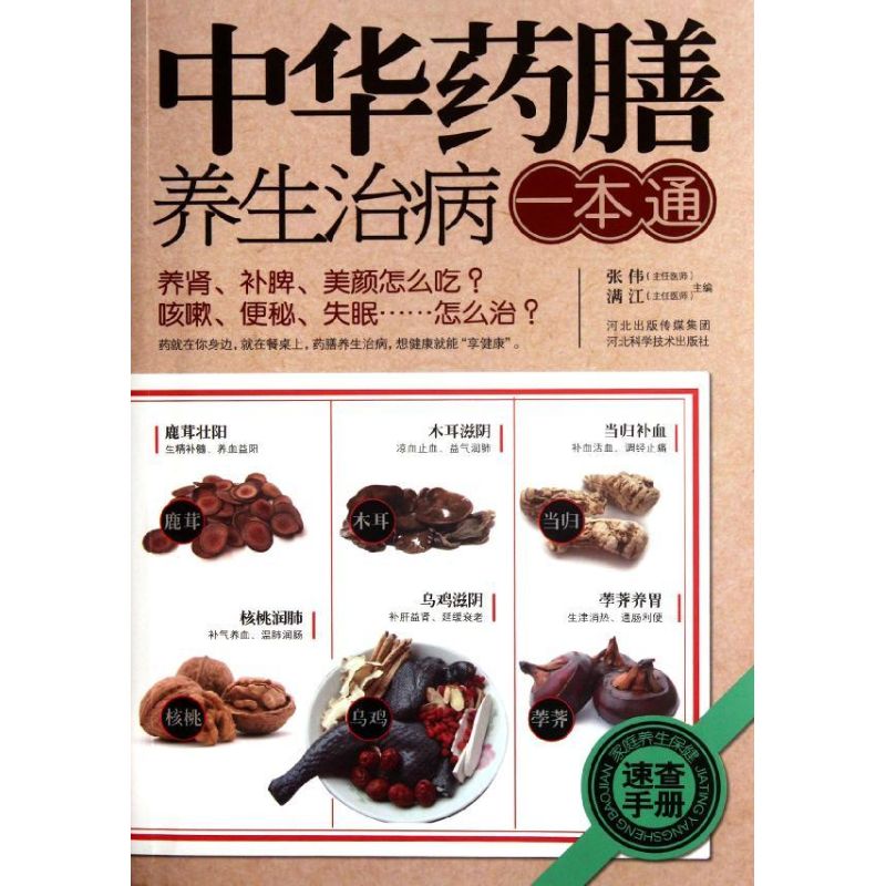正版中华药膳养生治病一本通