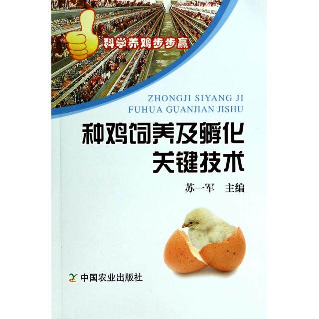 正版种鸡饲养及孵化关键技术/科学养鸡步步赢