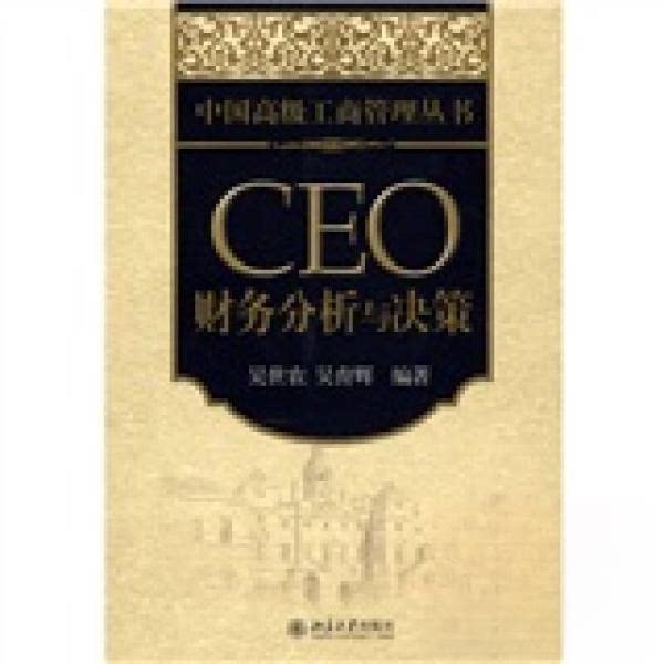 正版CEO 财务分析与决策/中国高级工商管理丛书