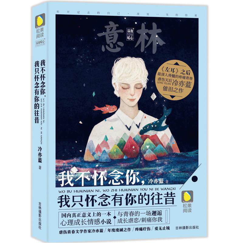 正版我不怀念你我只怀念有你的往昔