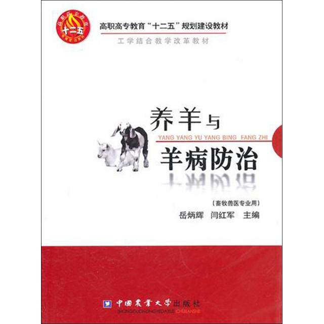 正版养羊与羊病防治(畜牧兽医专业用高职高专教育十二五规划建设教材)