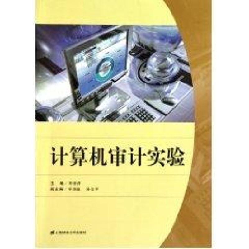 正版计算机审计实验