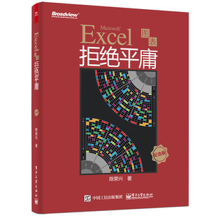 正版Excel图表拒绝平庸(纪念版)
