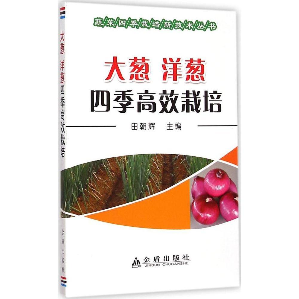 正版大葱洋葱四季栽培