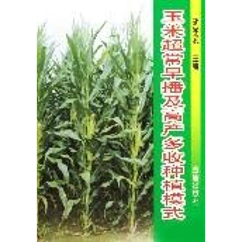 正版玉米超常早播及高产多收种植模式