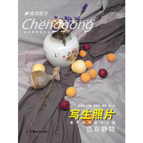 正版成功教学系列丛书美术高考解决方案:写生照片色彩静物