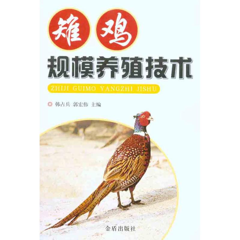 正版雉鸡规模养殖技术