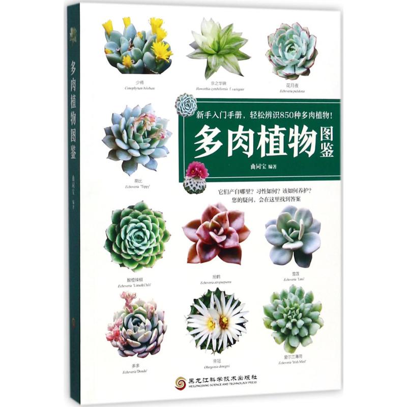 正版多肉植物图鉴
