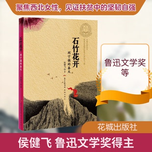 正版石竹花开 闵宁镇的春天