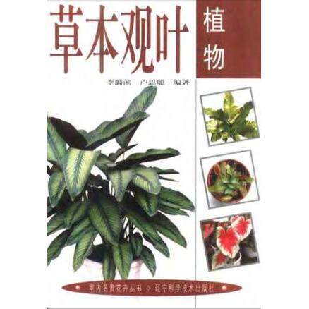 正版室内名贵花卉丛书--草本观叶植物