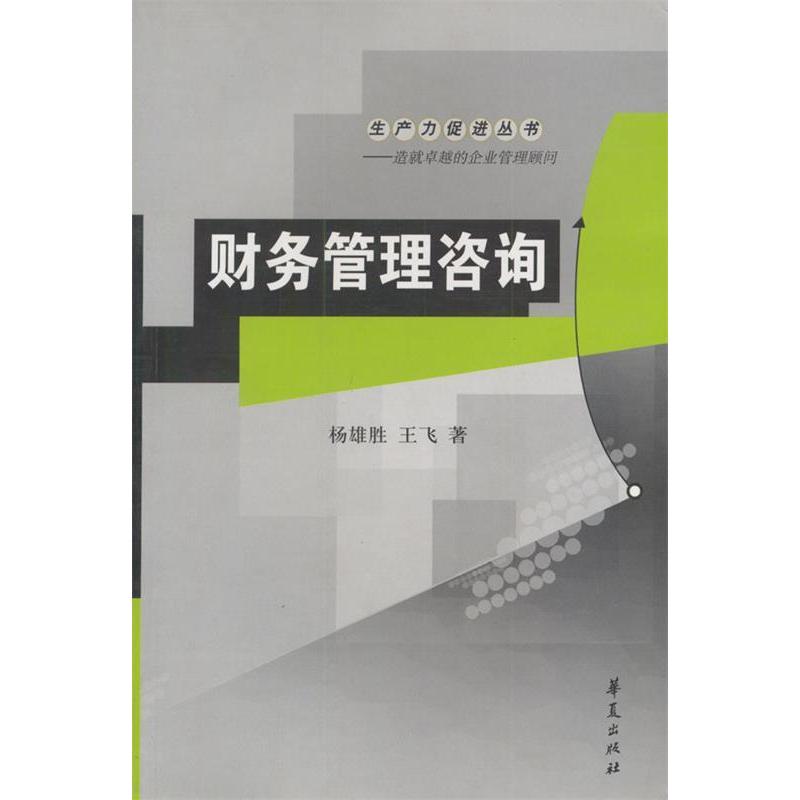 正版财务管理咨询——生产力促进丛书