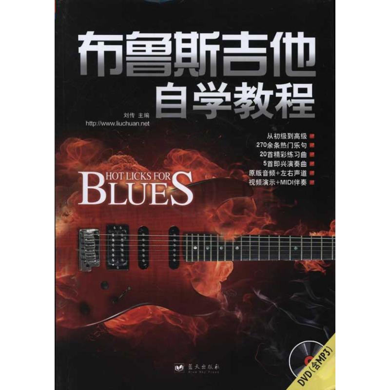 正版布鲁斯吉他自学教程(DVD)