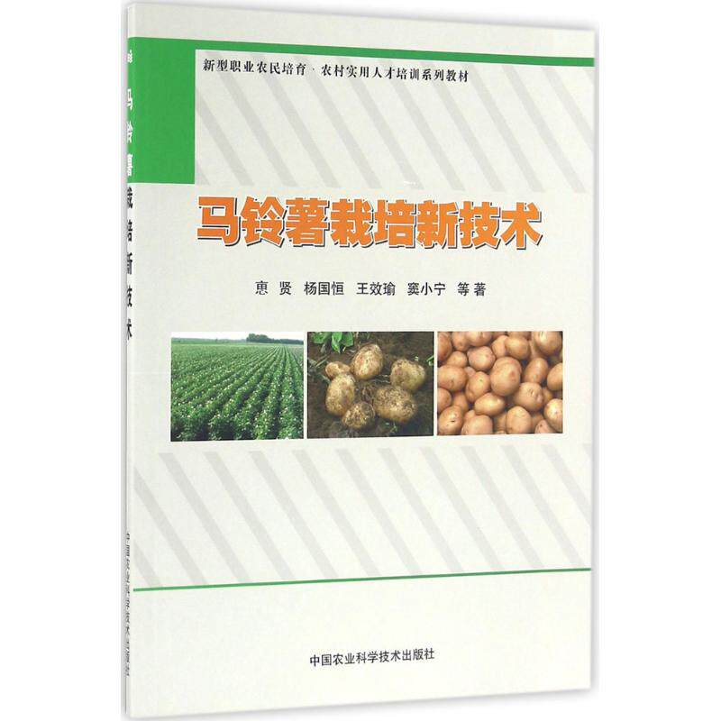 正版马铃薯栽培新技术