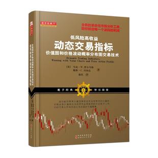 低风险高收益动态交易指标:价值图和价格波动概率分布图交易技术(美国估值技术分析市场应对短线中长线操作)正版