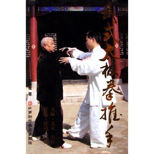 正版武式太极拳推手