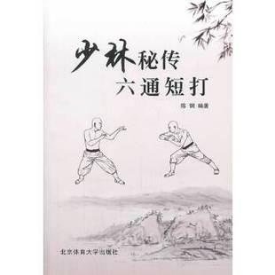 少林秘传六通短打正版