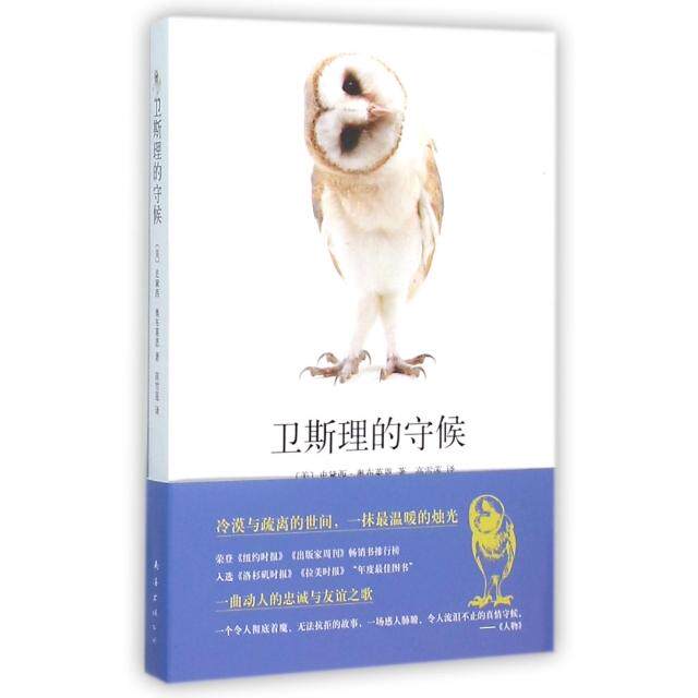 正版卫斯理的守候