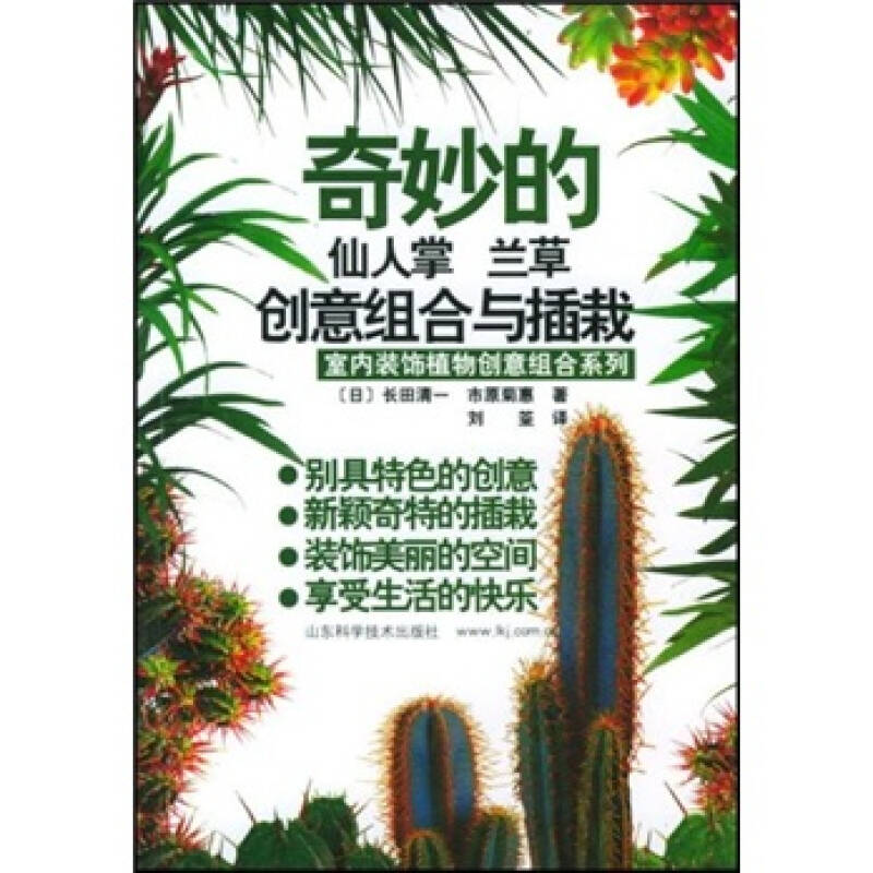 正版奇妙的仙人掌、兰草创意组合与插栽
