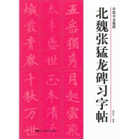 正版北魏张猛龙碑习字帖