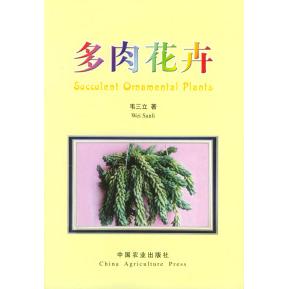 正版多肉花卉