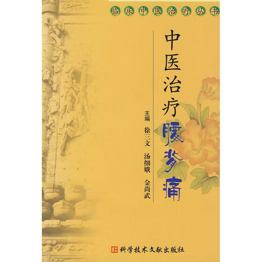 正版中医治疗腰背痛临床中医治疗丛书