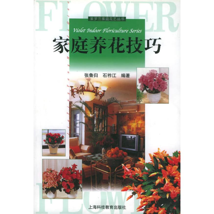 正版家庭养花技巧紫罗兰家庭花艺丛书