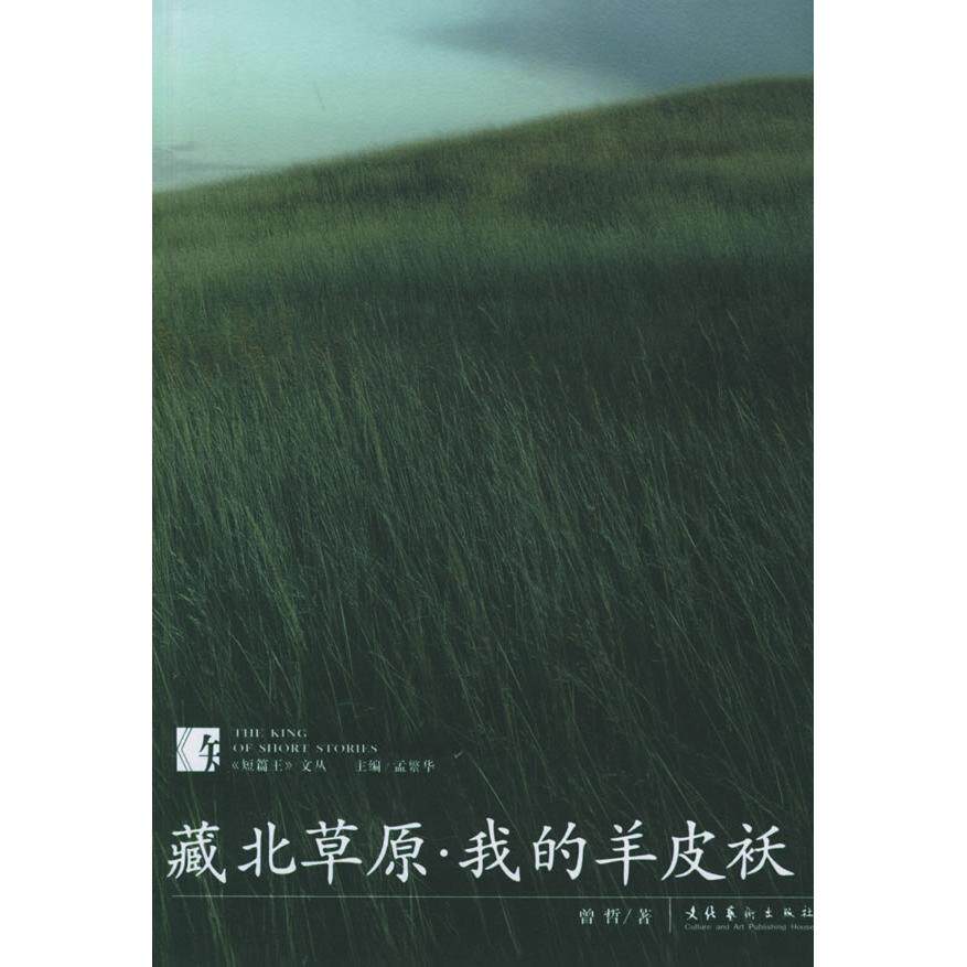 正版藏北原的羊皮袄/短篇王文丛(短篇王文丛)
