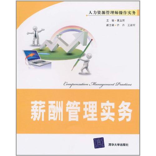 正版薪酬管理实务(人力资源管理师操作实务)
